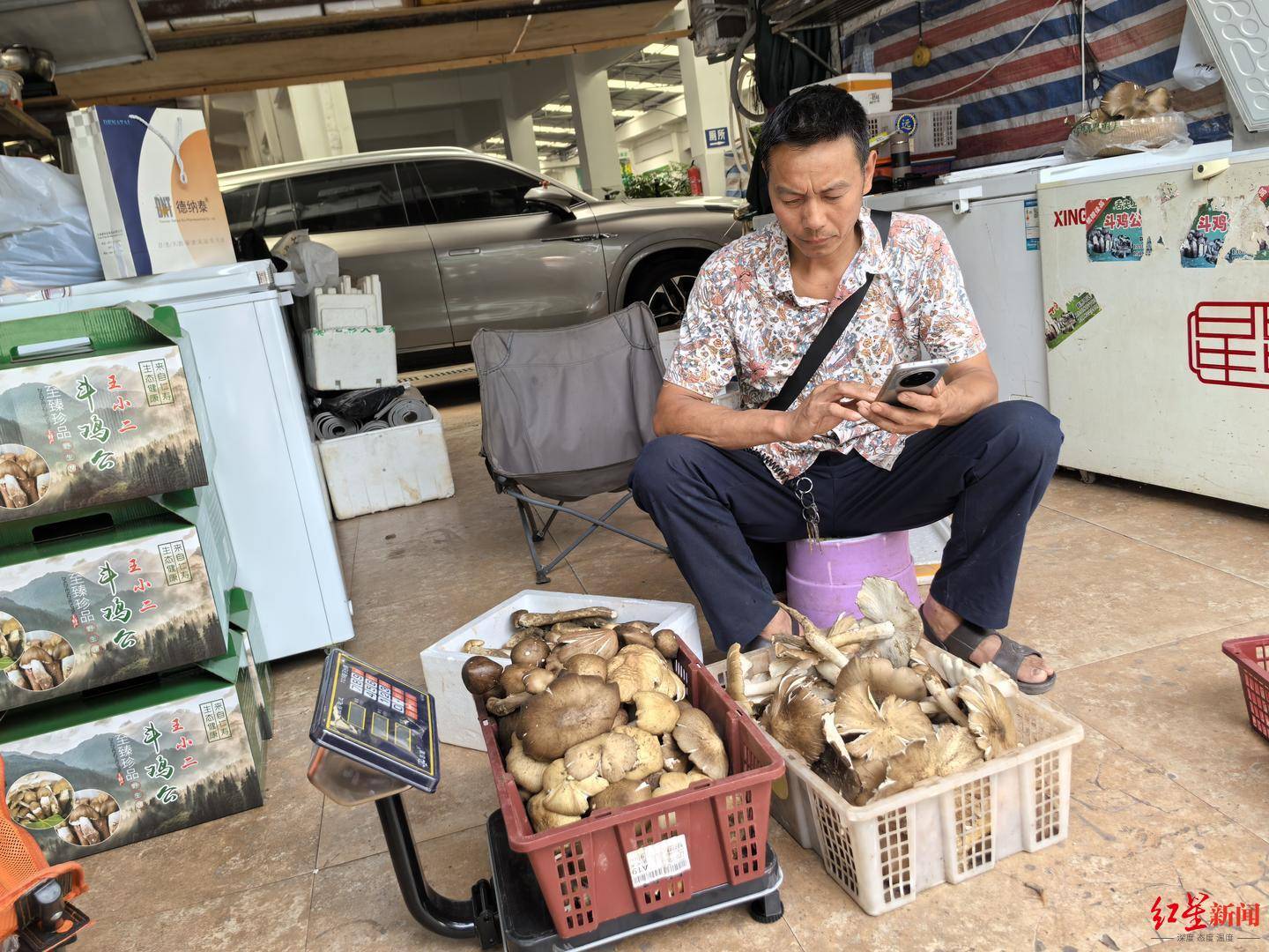 “天价”鸡枞调查:最贵卖到1800元/公斤!雨水少致产量低<strong></p>
<p>ada</strong>,多地价高客少