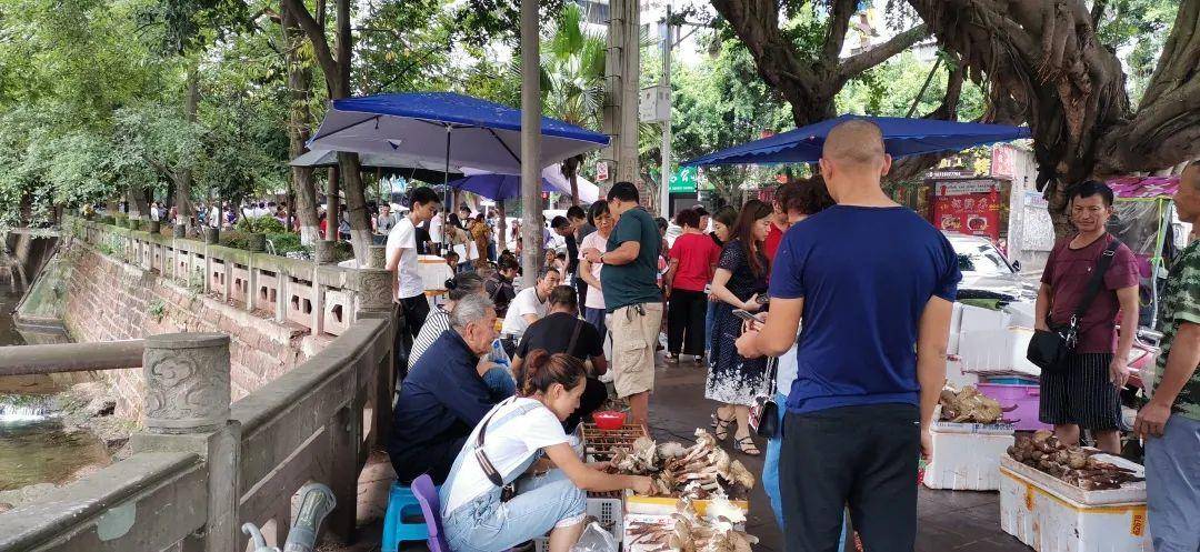 “天价”鸡枞调查:最贵卖到1800元/公斤!雨水少致产量低<strong></p>
<p>ada</strong>,多地价高客少