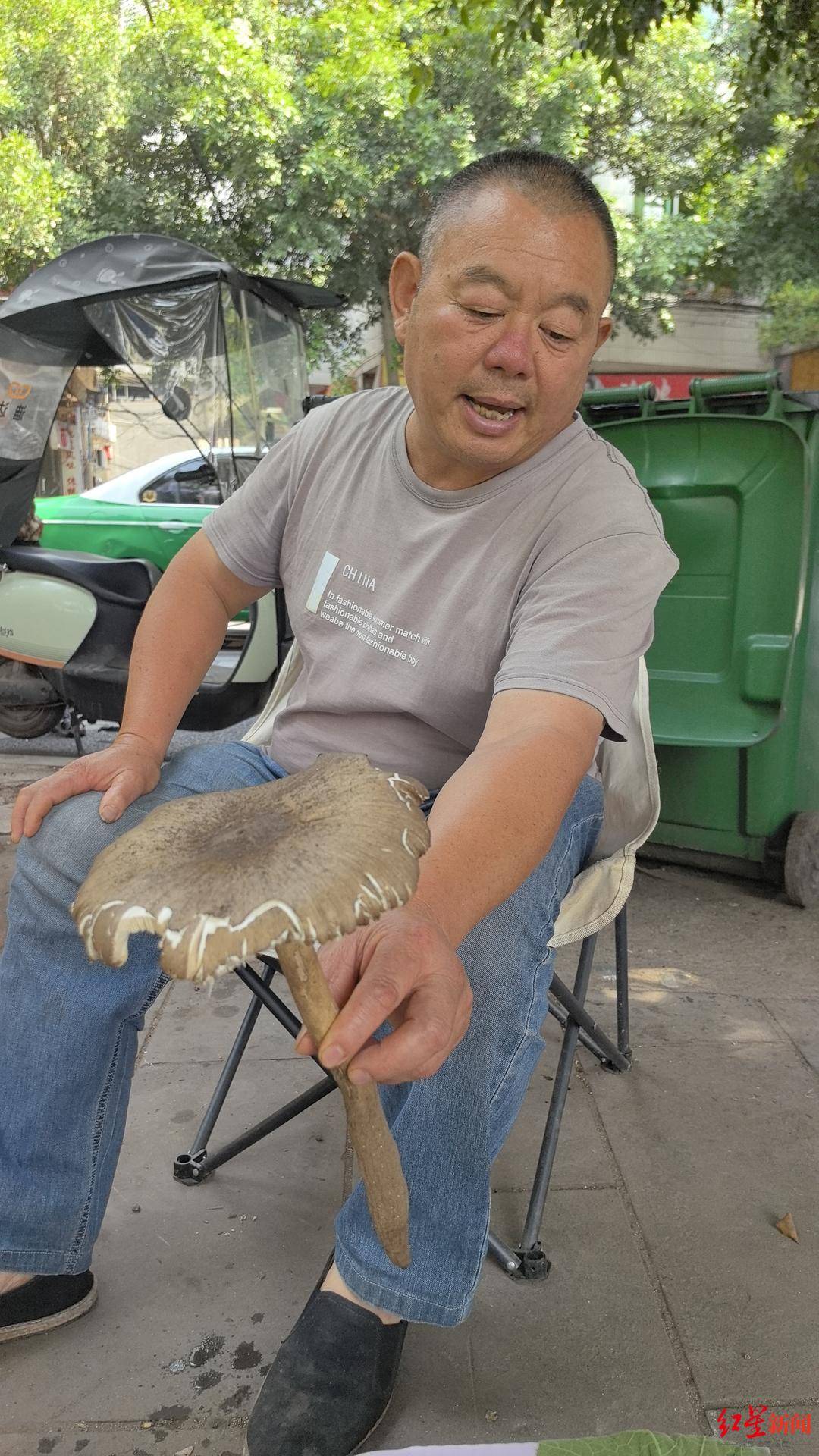 “天价”鸡枞调查:最贵卖到1800元/公斤!雨水少致产量低<strong></p>
<p>ada</strong>,多地价高客少