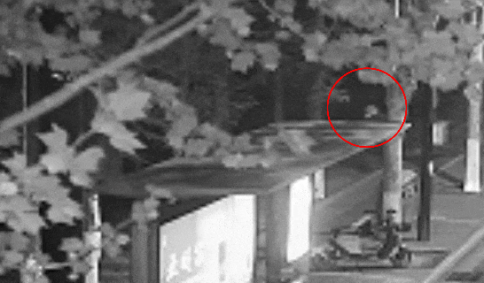 江苏一男子戴仿真“人皮”面具入室盗窃<strong></p>
<p>ada</strong>，流窜多个小区作案，涉案金额达15万余元