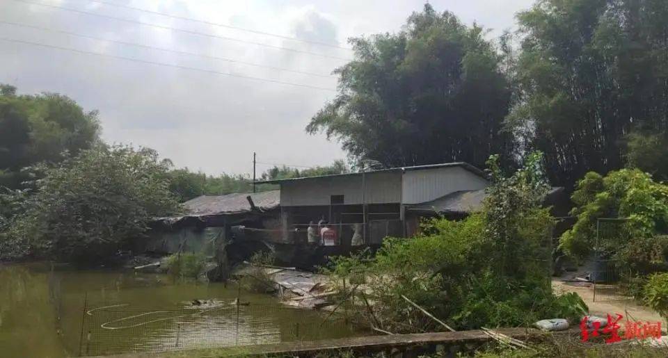 男子杀害母亲和女友后带嫂嫂潜逃32年落网<strong></p>
<p>ada</strong>，两人育有一儿一女，侦破细节披露