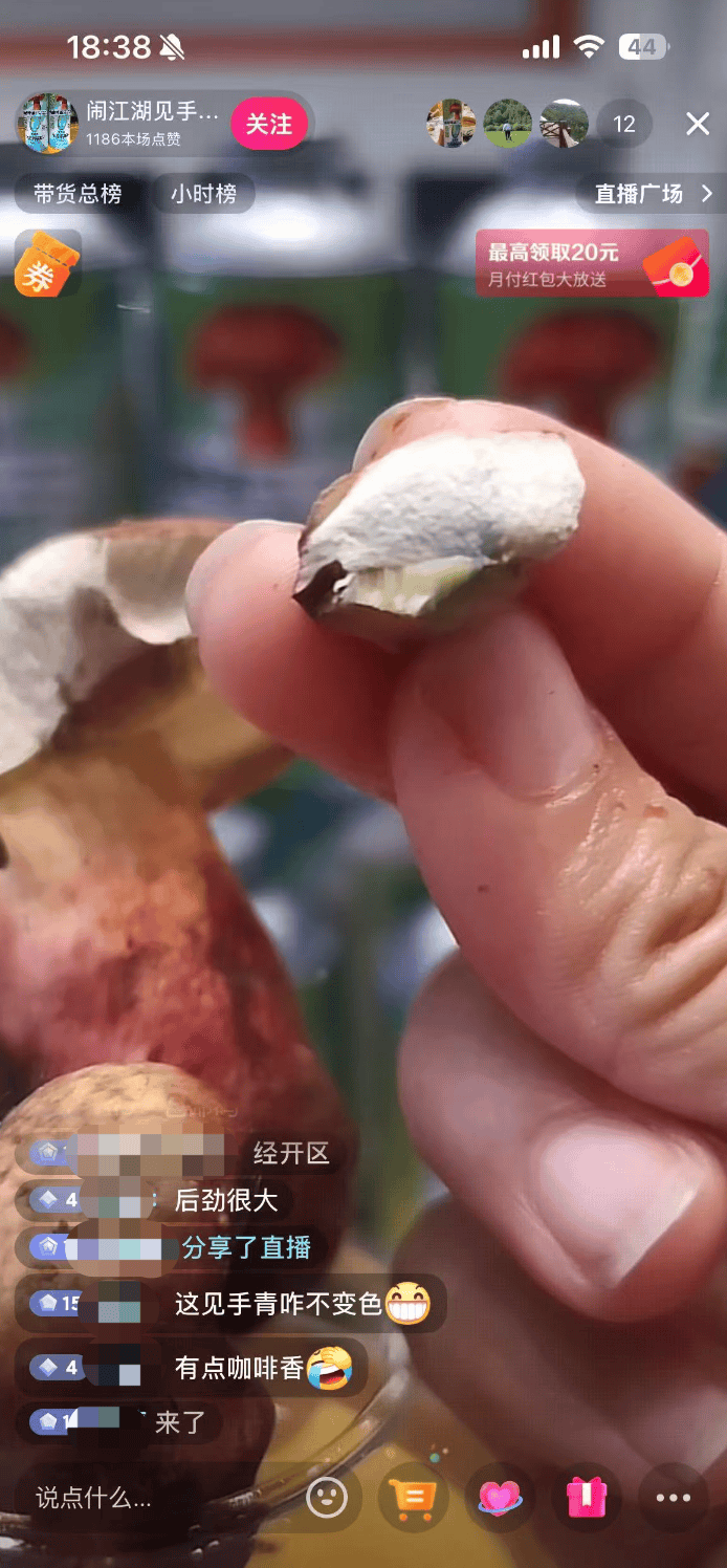 10万瓶一周抢售一空！云南“见手青啤酒”卖疯<strong></p>
<p>ada</strong>，背后代工厂竟欠债400万？