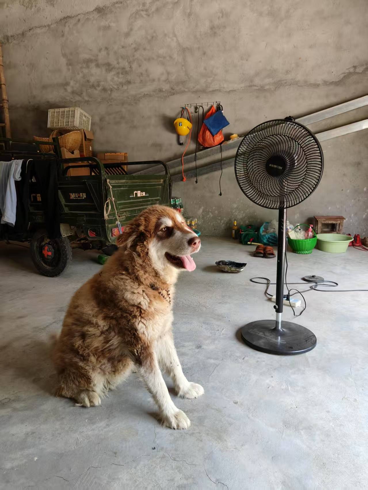 00后女孩醉驾时速174公里撞死3人<strong></p>
<p>王宝强</strong>，逝者母亲：我每天都活在痛苦中