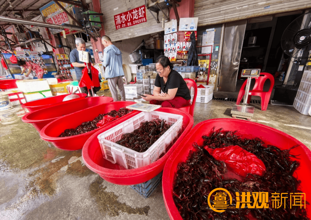 价格腰斩<strong></p>
<p>王宝强</strong>！13元/斤！南昌正大量上市