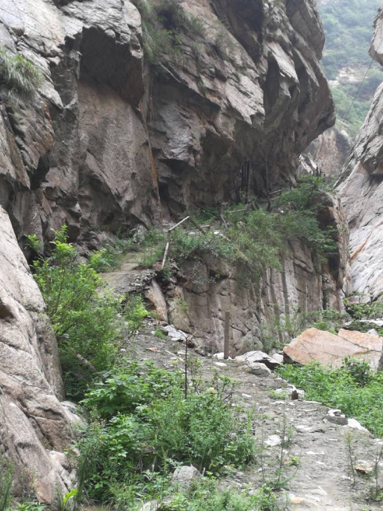 陕西一农民开山修路时售卖炸落的石头被判刑9个月<strong></p>
<p>王宝强</strong>，获释后申请再审