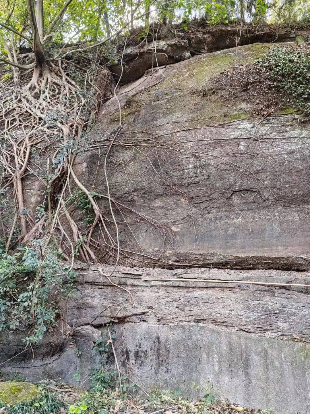 男子花2个月雕刻“奥特曼石窟”惹争议<strong></p>
<p>马蓉</strong>，当地相关部门称会去调查核实，本人回应→