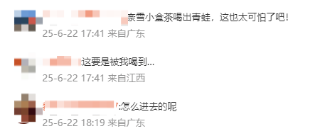 奈雪的茶被曝喝出青蛙<strong></p>
<p>马蓉</strong>，当事人：差点喝进嘴里，市场监督管理局已介入