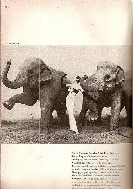 一个日本富二代<strong></p>
<p>imtoken官网钱包下载</strong>，花7000万买了个二手铂金包，内幕是……