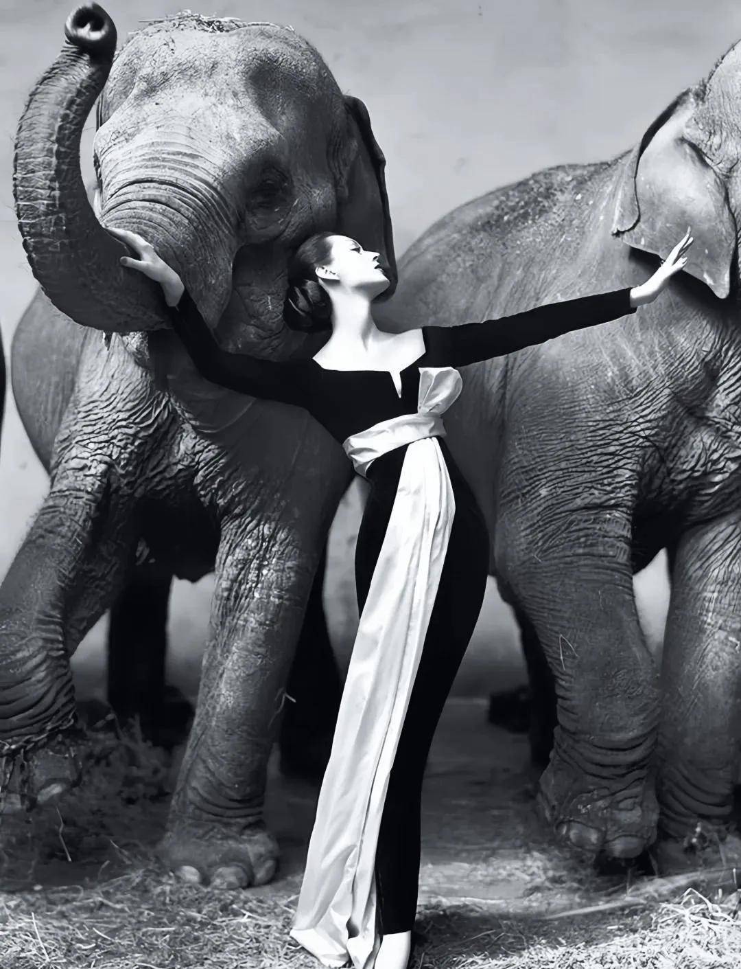 一个日本富二代<strong></p>
<p>imtoken官网钱包下载</strong>，花7000万买了个二手铂金包，内幕是……