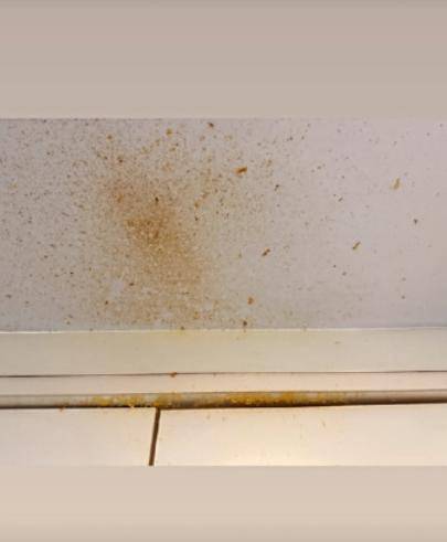 女演员竟用微波炉煮鸡蛋<strong></p>
<p>LTC</strong>，结果鸡蛋在眼前爆炸，受伤后发声