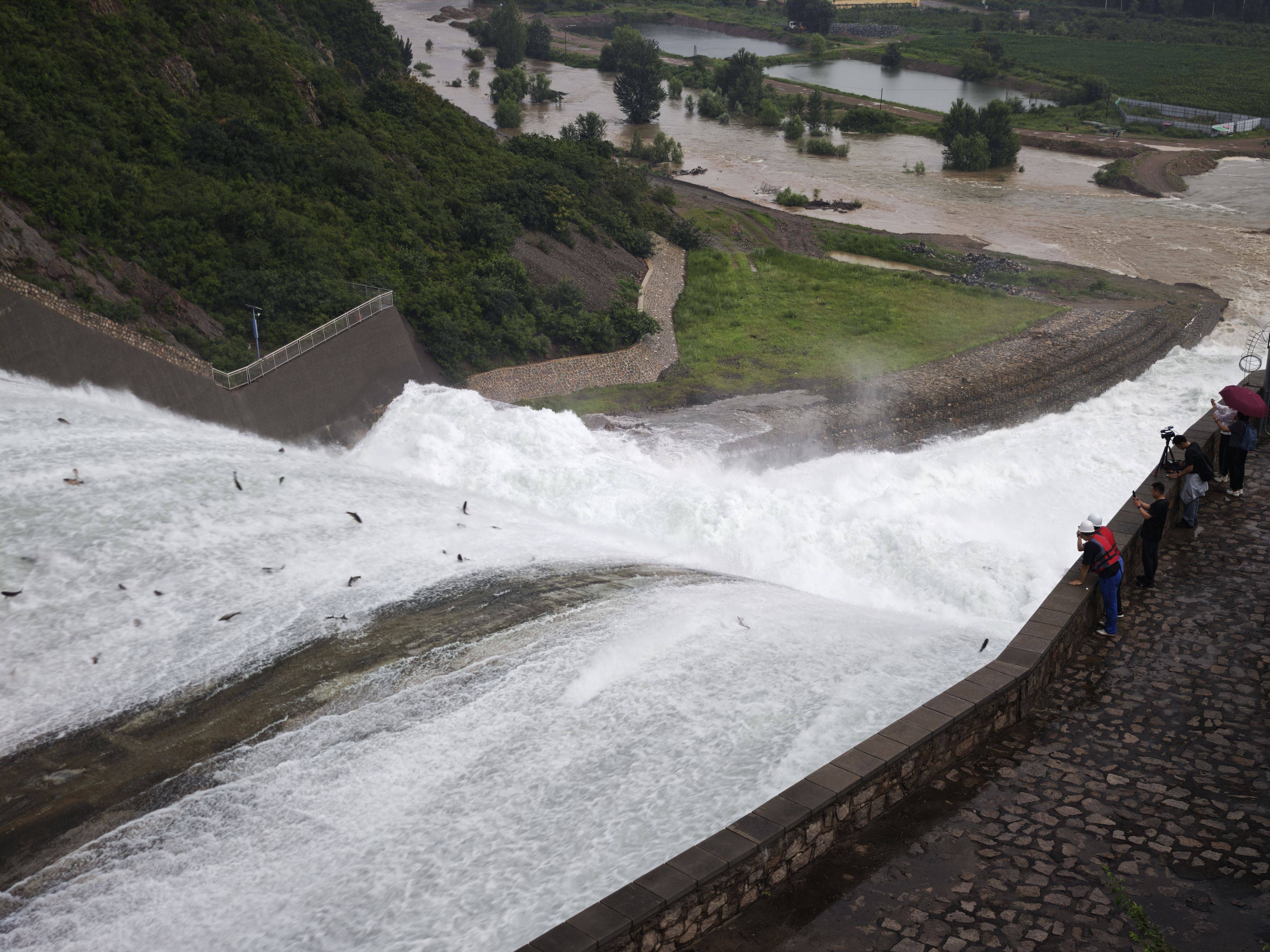 密云水库开闸泄流<strong></p>
<p>okb行情</strong>，大量“水质卫士”鲢鳙顺流而下