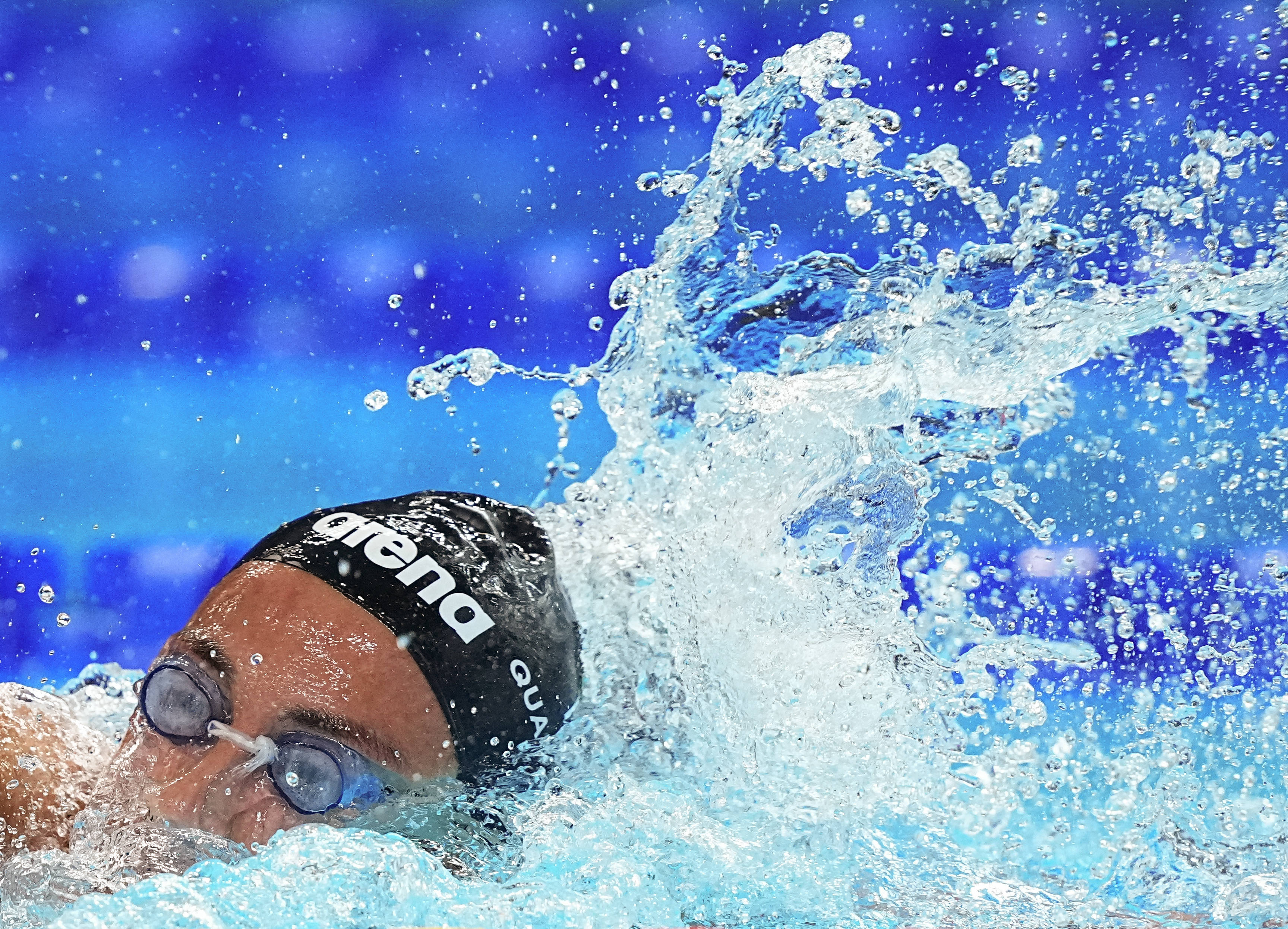 （游泳世锦赛）游泳——女子1500米自由泳决赛赛况