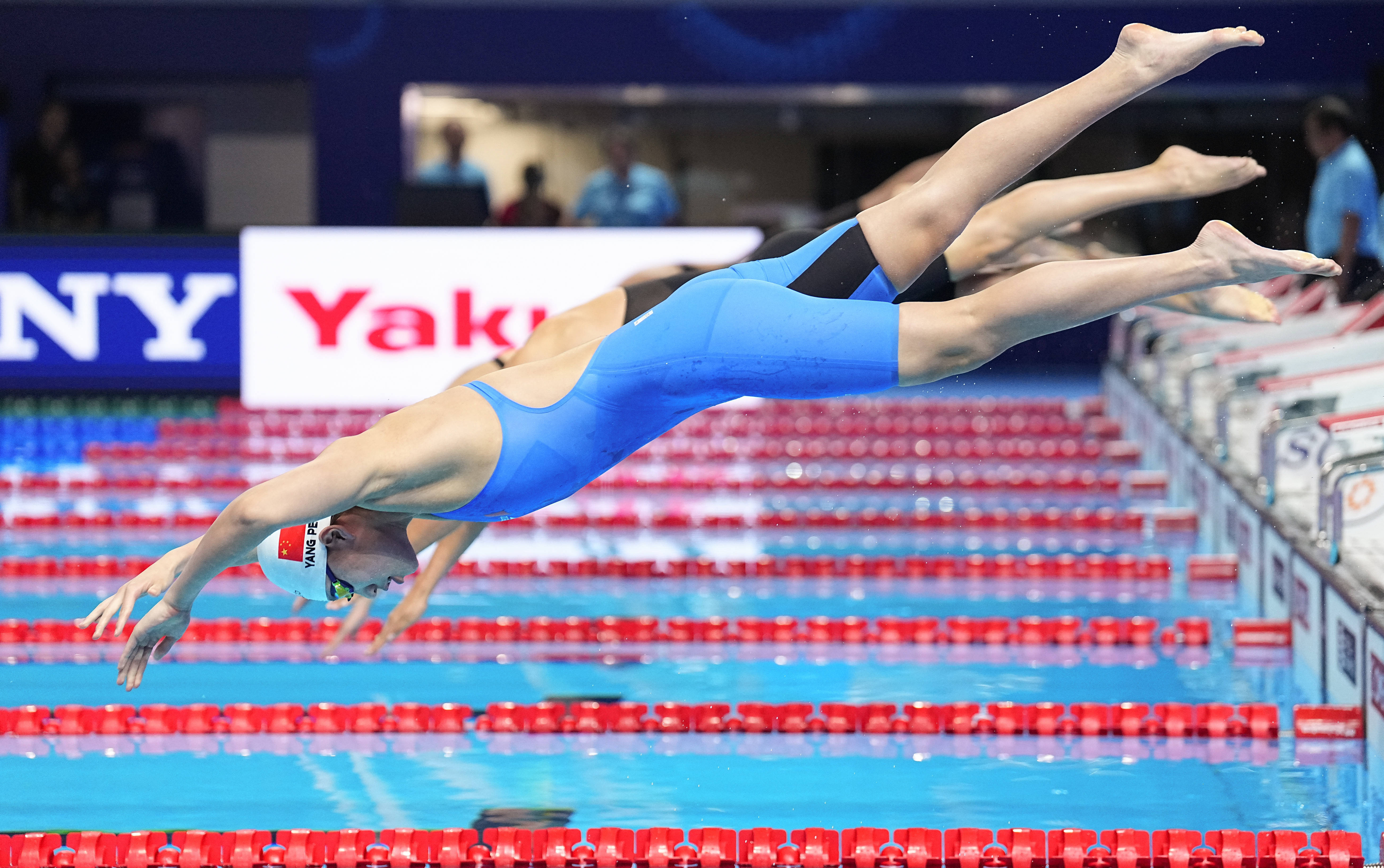 (游泳世锦赛)游泳——女子1500米自由泳决赛赛况