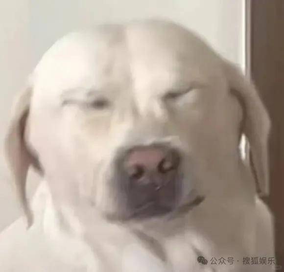 离婚三年又被拍到亲密逛超市<strong></p>
<p>okt</strong>，他俩这是纯带娃还是真复合了？