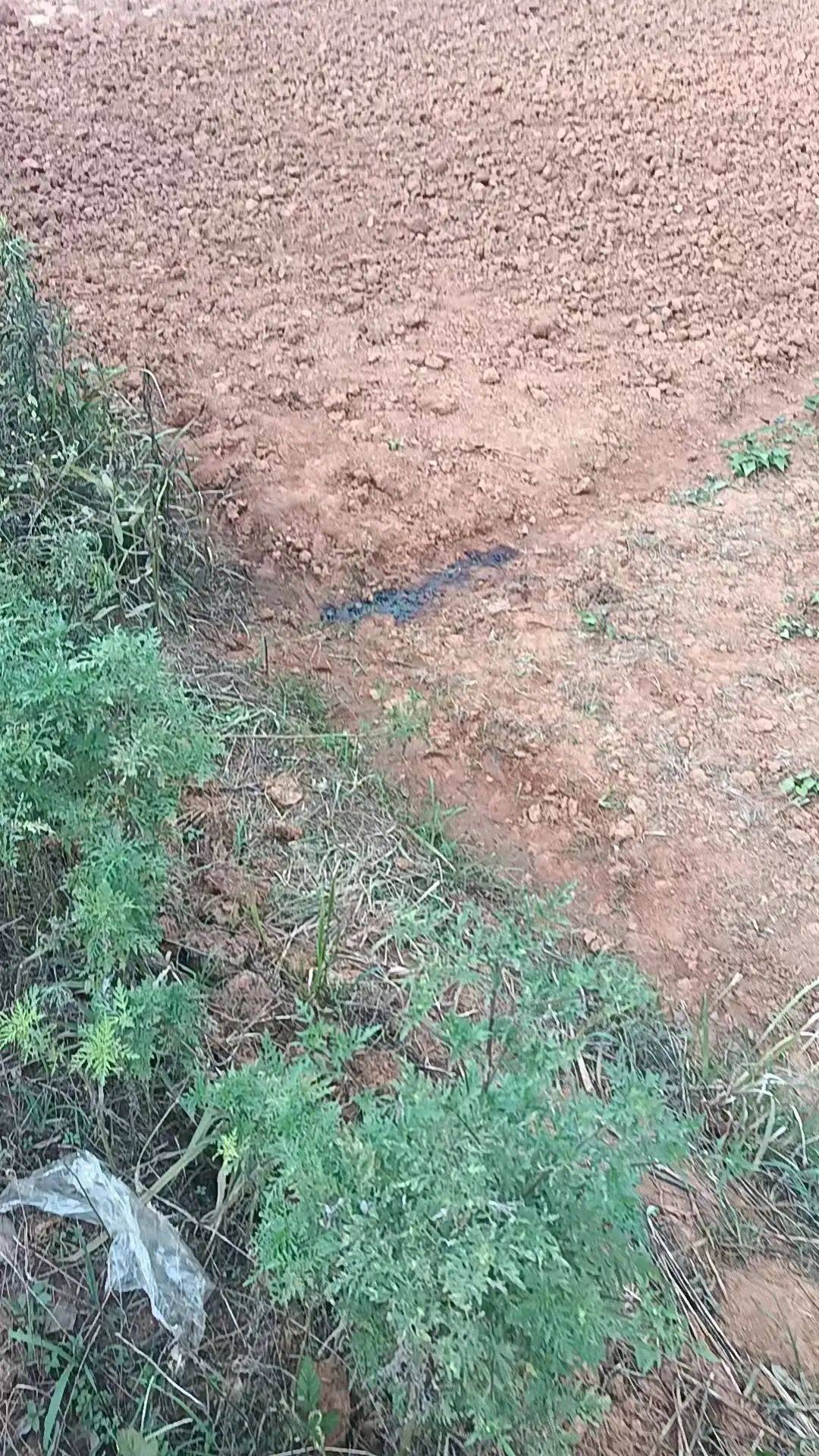 工人被误当猎物枪击身亡<strong></p>
<p>shib</strong>，警方通报：屈某某、罗某某被刑拘