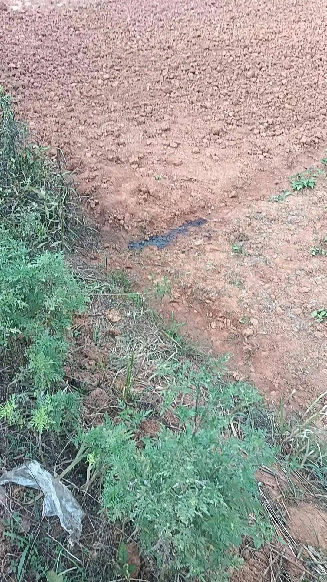 54岁农民工在工地附近如厕被气枪击杀<strong></p>
<p>shib</strong>，肇事者自首，用工单位愿补偿25万，家属发声