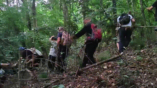 紧急寻人<strong></p>
<p>shib币价格今日行情</strong>！男童参加夏令营山上走失！最新进展→