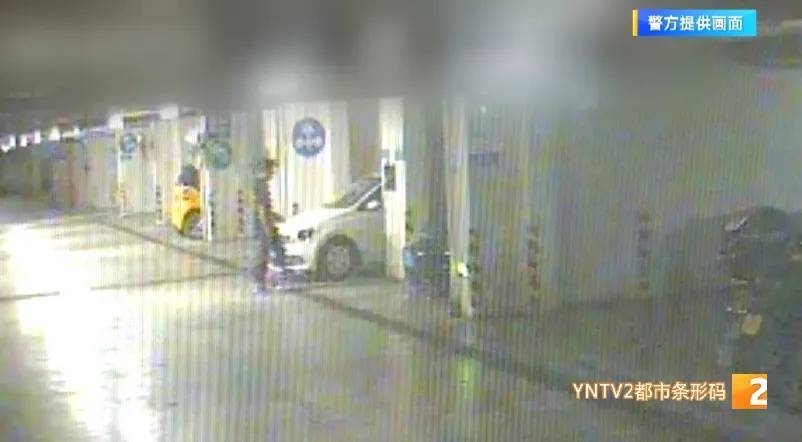 凌晨怪事！男子提着茅台袋子在车库<strong></p>
<p>SHIB币</strong>，翻垃圾桶竟为了.....