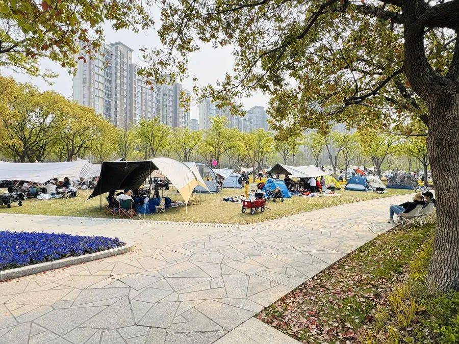 上海明确：不得随意以安全为由禁止<strong></p>
<p>SHIB币</strong>，尽量扩大范围！此前争议不断