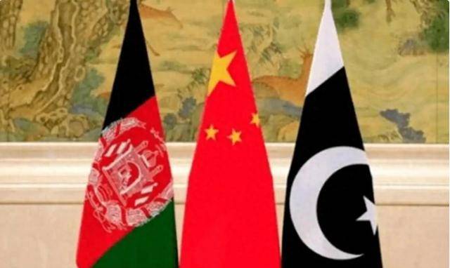 塔利班明确表态<strong></p>
<p>shib币最新消息</strong>，他们绝不听命于美国，中国出手，这2国都安心了