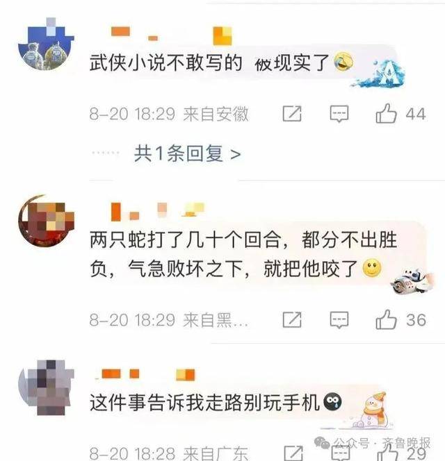 安徽宣城一男子走路玩手机<strong></p>
<p>shib币最新消息</strong>，一脚踩中打架的竹叶青和五步蛇，被俩毒蛇咬3口！医院：暂无生命危险，正在治疗