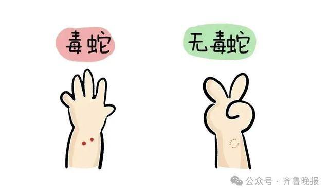 安徽宣城一男子走路玩手机<strong></p>
<p>shib币最新消息</strong>，一脚踩中打架的竹叶青和五步蛇，被俩毒蛇咬3口！医院：暂无生命危险，正在治疗