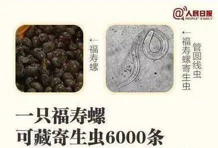 别吃！寄生虫多达6000条！浙江一地大量出现<strong></p>
<p>shib币价格</strong>，看到立刻上报