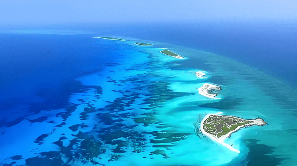 九三阅兵前发出警告<strong></p>
<p>shib价格</strong>，越南在南海非法吹填岛礁，外交部重磅表态：绝不姑息