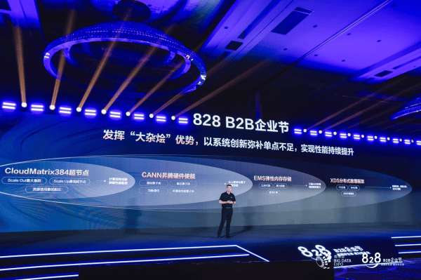 单芯片最高2400TPS<strong></p>
<p>shib币前景</strong>，华为云Tokens服务全面接入384超节点