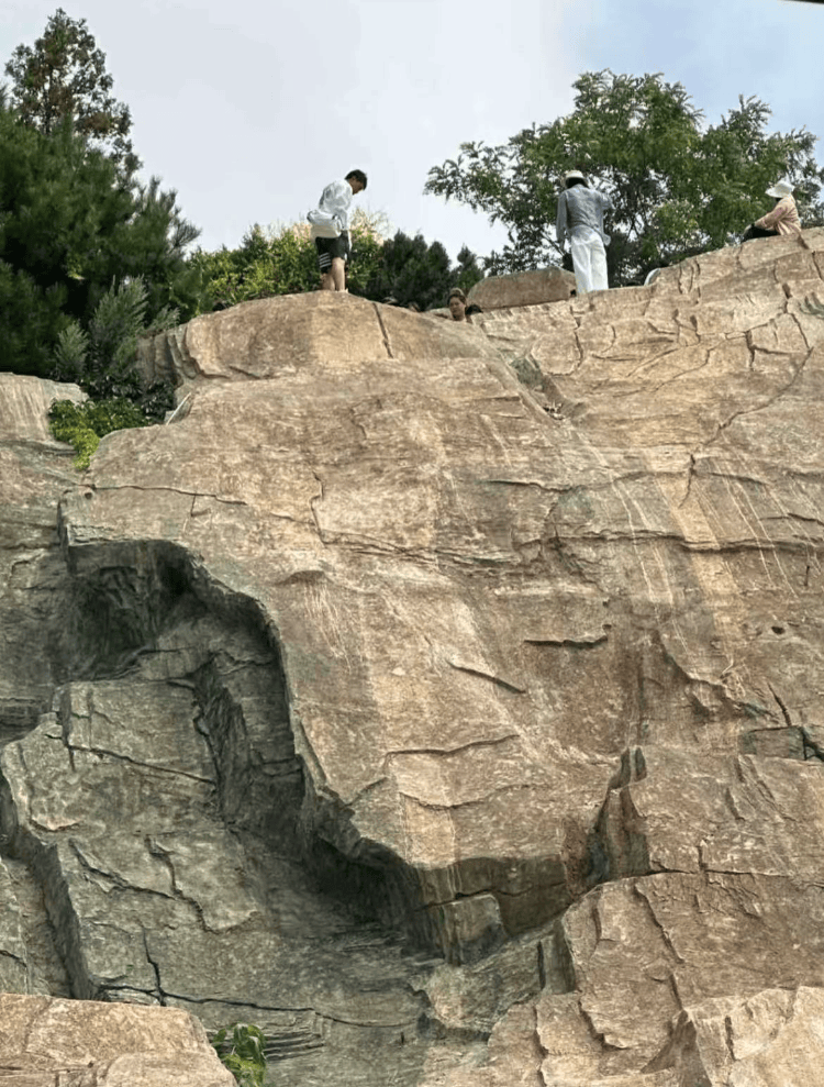 大连一跨海大桥观景台有游客翻栏杆踩空心造景石拍照<strong></p>
<p>shib币前景</strong>，当地回应