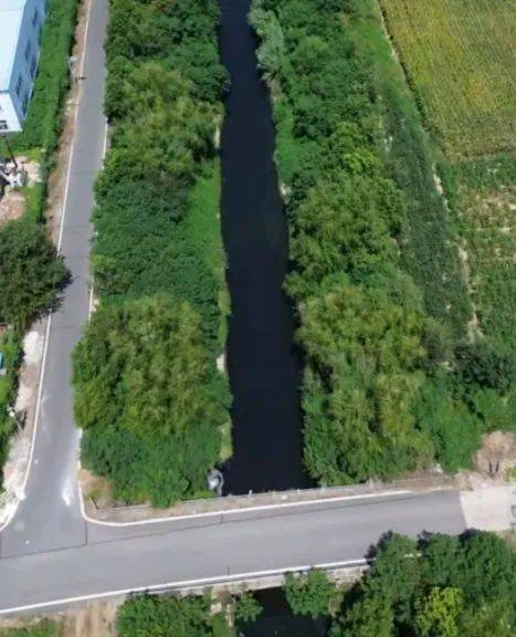 去年整改过的“黑水河”<strong></p>
<p>tp钱包</strong>,今年怎么又黑了? | 新京报快评