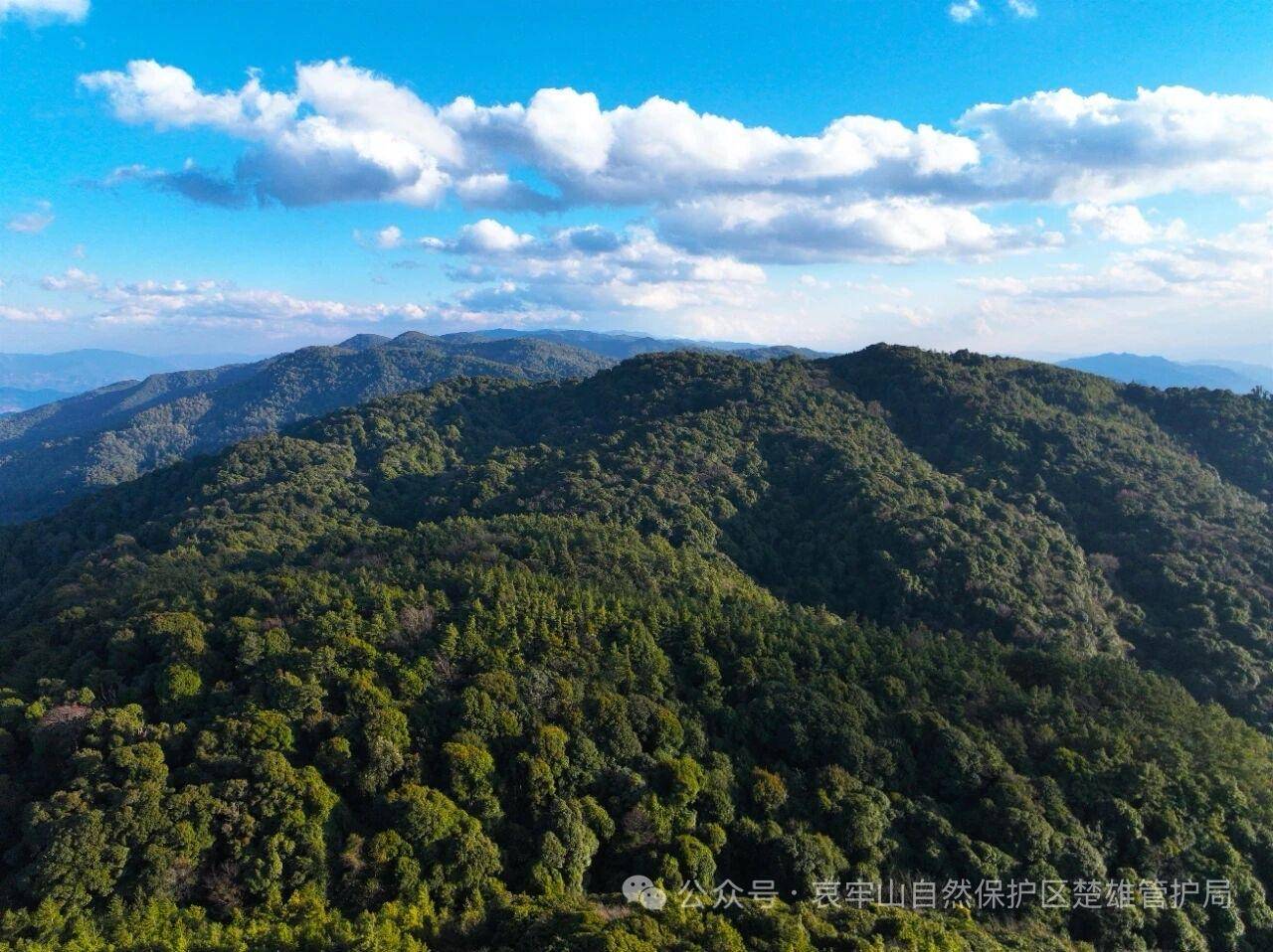 云南哀牢山新规出台：禁止任何单位和个人擅入哀牢山自然保护区<strong></p>
<p>tp钱包官方下载</strong>，从事科研活动须报批