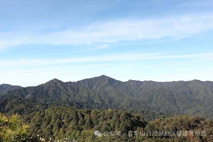 云南哀牢山新规出台：禁止任何单位和个人擅入哀牢山自然保护区<strong></p>
<p>tp钱包官方下载</strong>，从事科研活动须报批