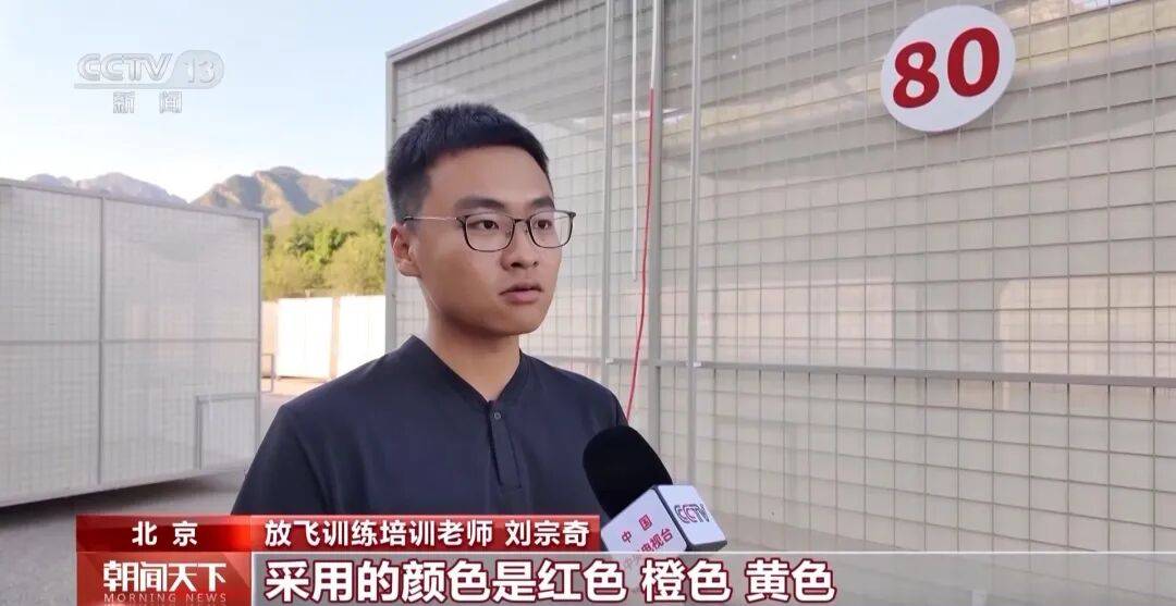 明天将放飞8万羽和平鸽、8万只气球<strong></p>
<p>tp钱包官方下载</strong>，揭秘！