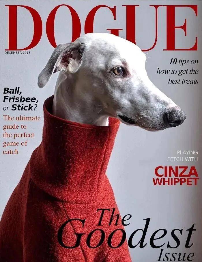 年近四十<strong></p>
<p>tp钱包下载</strong>，二孩妈妈，不骨感不时髦，却成了女魔头接班人