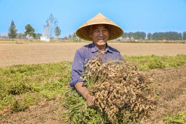 “花生上树”闹剧：AI翻车背后<strong></p>
<p>tp钱包官网下载</strong>，我们都在弄丢常识？