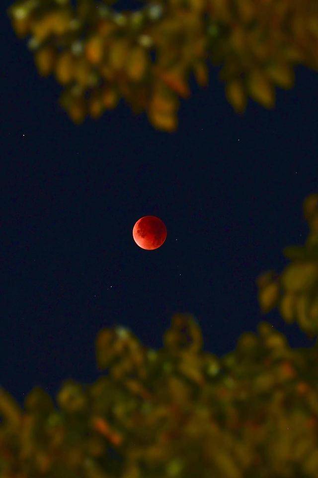 刷屏朋友圈<strong></p>
<p>tp钱包安卓版</strong>！“红月亮”高清大图来了