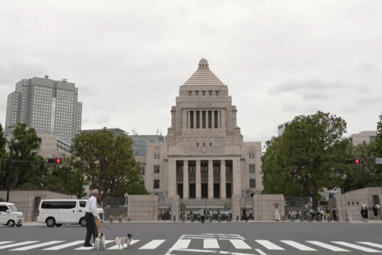 石破茂黯然下台 自民党“双少数”困局谁来破<strong></p>
<p>tp钱包安卓版</strong>？