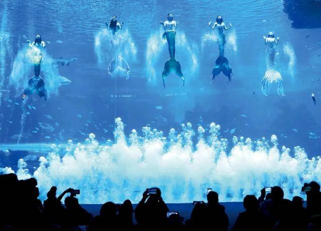 海洋公园<strong></p>
<p>tp钱包是正规平台</strong>，养不起虎鲸了