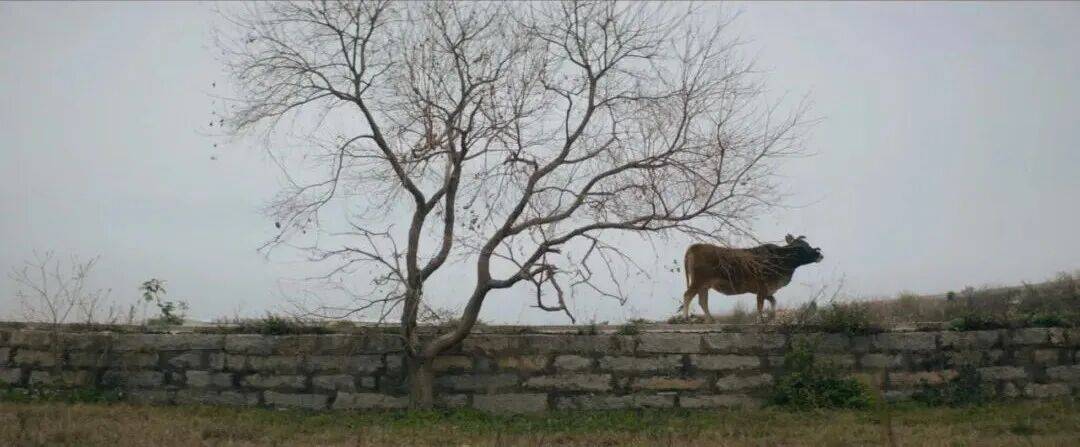 城市打工人<strong></p>
<p>tp钱包安卓版官方下载</strong>，花十几万回村给父母补缴社保