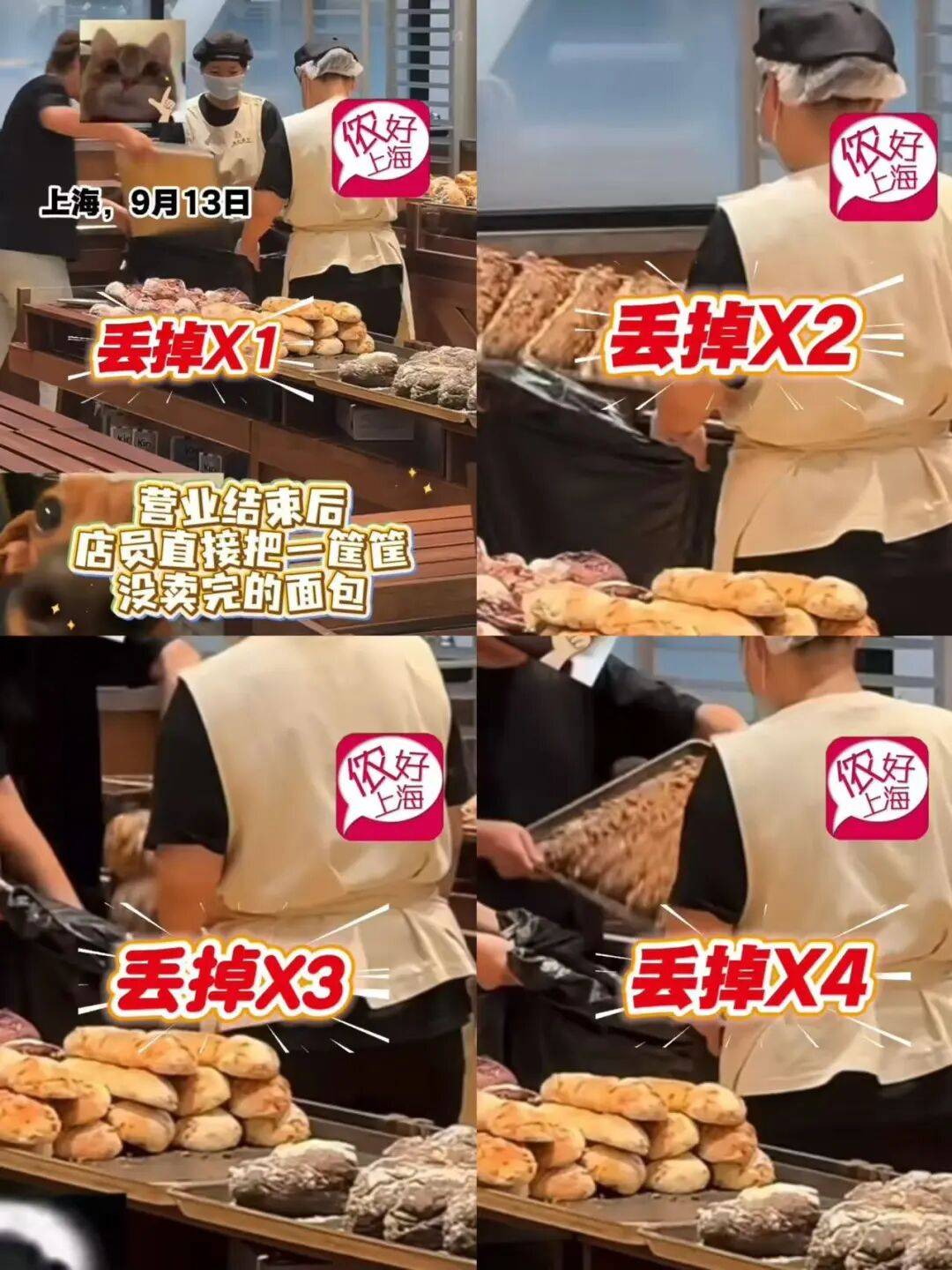 看着心疼<strong></p>
<p>tp钱包安卓版官方下载</strong>！上海网红店将没卖掉的面包整框扔了？网友吵翻