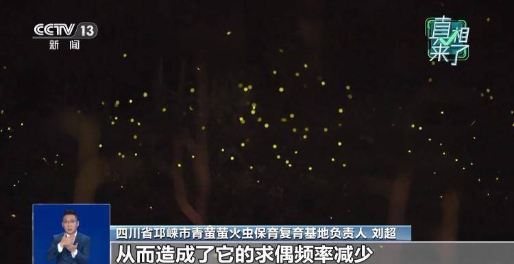 网传萤火虫濒临灭绝<strong></p>
<p>tp钱包安卓版官方下载</strong>，是真的吗？