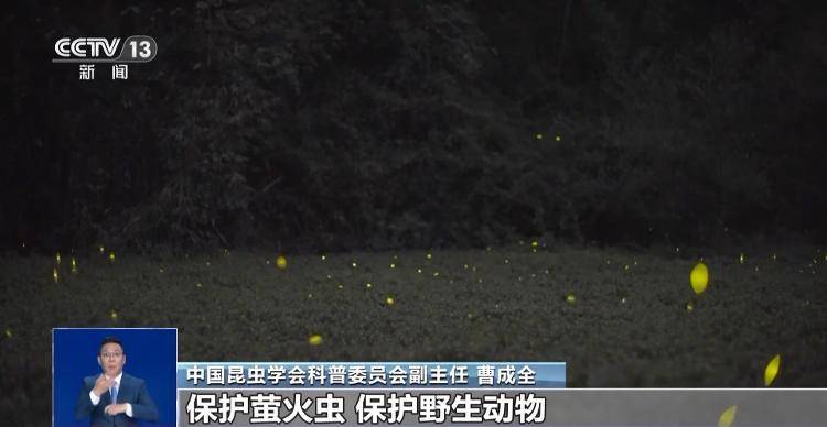 网传萤火虫濒临灭绝<strong></p>
<p>tp钱包安卓版官方下载</strong>，是真的吗？