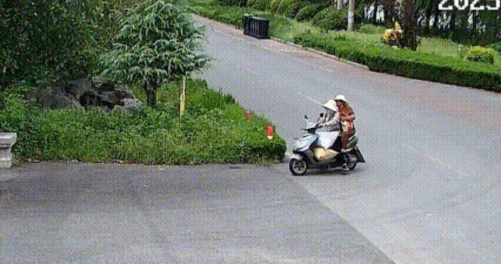 400斤<strong></p>
<p>tp钱包安全吗</strong>，两人多次偷猕猴桃自己吃，被济南警方抓获