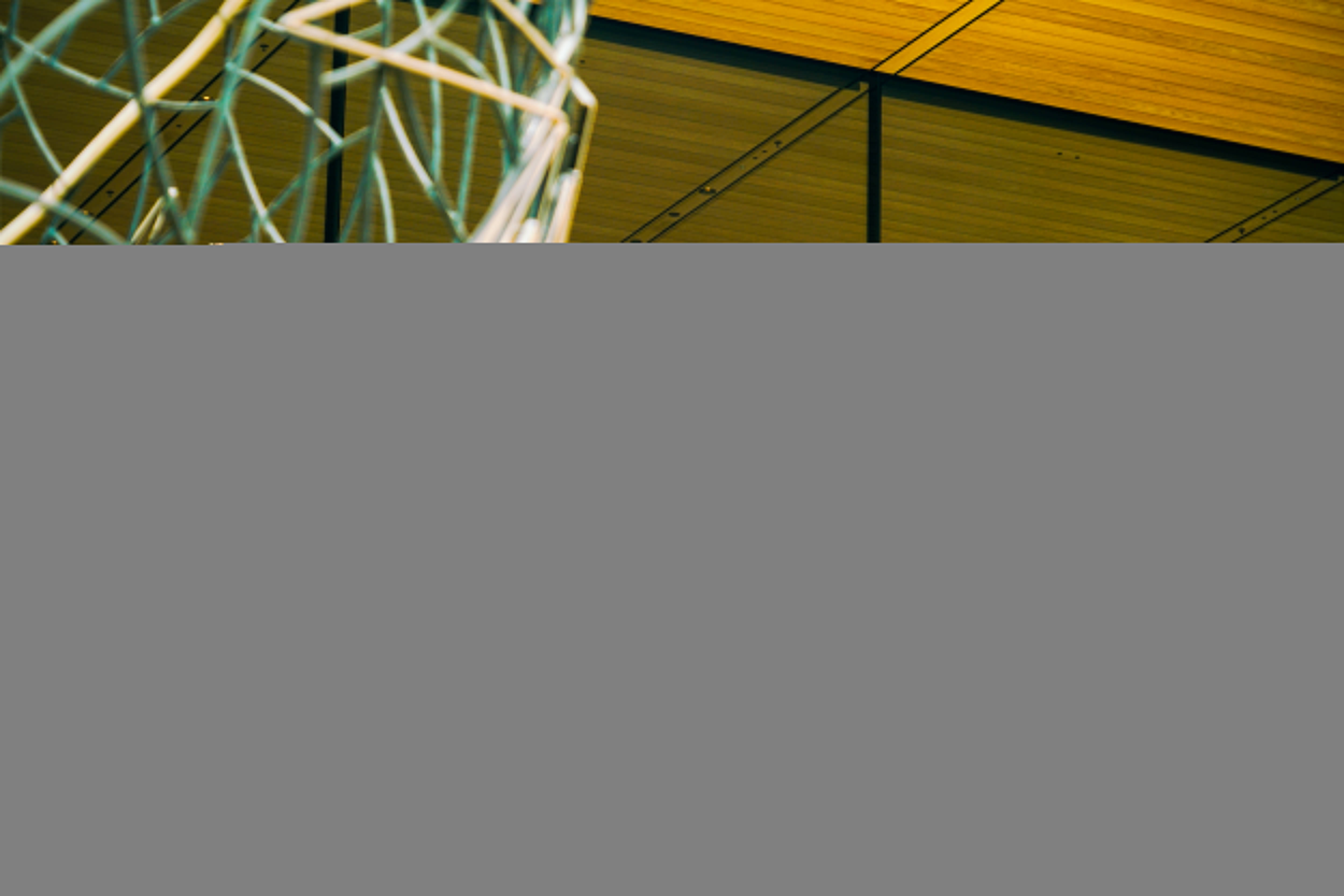 iPhone 17正式开售<strong></p>
<p>tp钱包官方网站</strong>，橙色Pro Max黄牛最高加价1500元