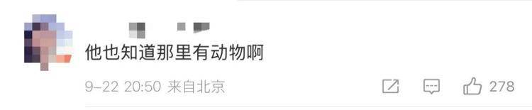 “感谢大家支持我大闹天宫……”蔡国强烟花秀现场感言视频披露<strong></p>
<p>tp钱包app下载安装</strong>,又遭质疑!