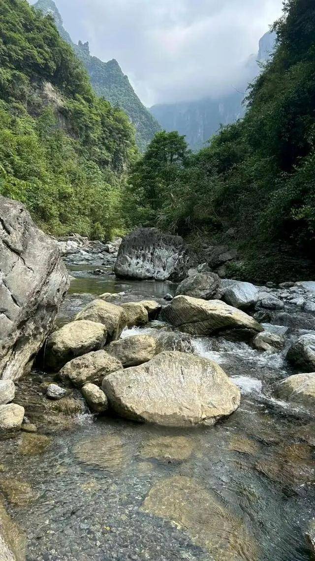 90后杨东东夺得荒野求生挑战赛冠军<strong></p>
<p>trx</strong>,每顿饭都会吃点老鼠,获10万奖金,比赛前后对比照曝光