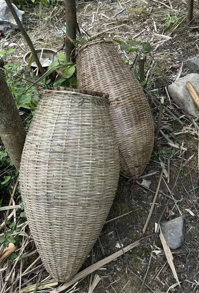 90后杨东东夺得荒野求生挑战赛冠军<strong></p>
<p>trx</strong>,每顿饭都会吃点老鼠,获10万奖金,比赛前后对比照曝光