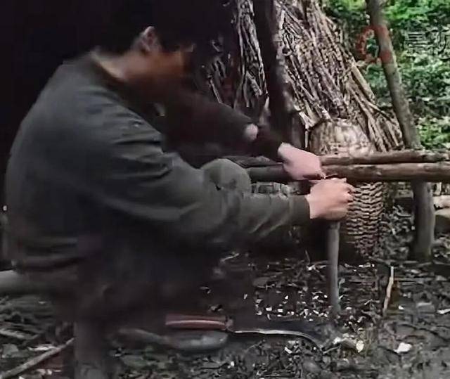 90后杨东东夺得荒野求生挑战赛冠军<strong></p>
<p>trx</strong>,每顿饭都会吃点老鼠,获10万奖金,比赛前后对比照曝光