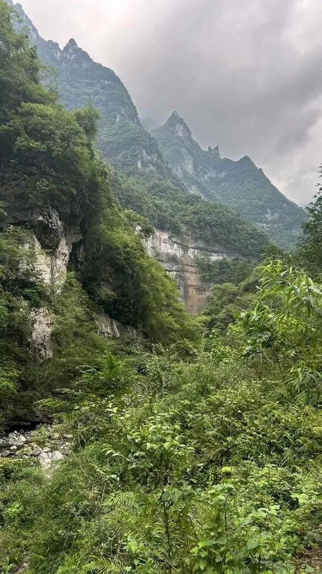 90后杨东东夺得荒野求生挑战赛冠军<strong></p>
<p>trx</strong>,每顿饭都会吃点老鼠,获10万奖金,比赛前后对比照曝光